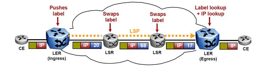 MPLS fundamentals the label and forwards the packet based on the next inner label (if present) or the destination address in the encapsulated IP header.
