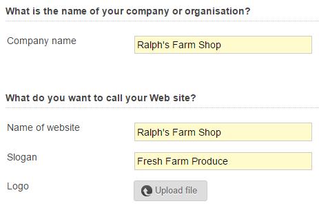 Name of website: Enter the name of your website that you want to display in the header of your shop.