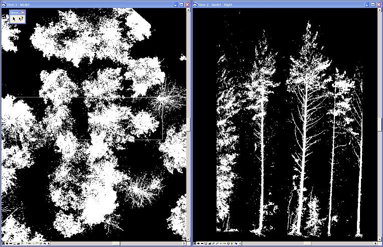 CAD models of trees combined from several FARO scans Left: top