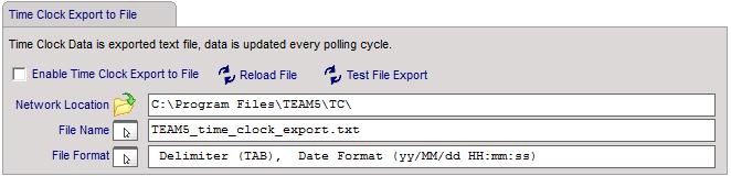 - Enter the name of the file that TEAM will export data to. - Click the File Format icon.