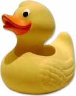 A Java Programming Exercise How you would create a Duck object? new MyDuck What if somebody else would like to create a Duck object as well?