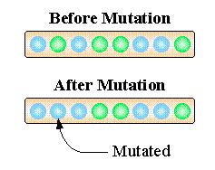 The effect is to prevent a premature convergence to a local minimum or maximum Example: Binary Mutation A bit in a child is
