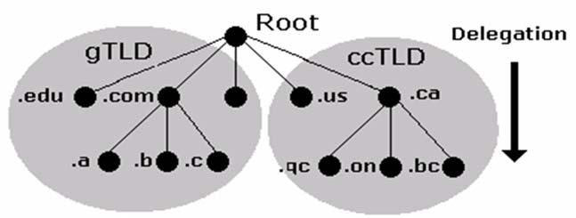 TLD Servers Top-level domain (TLD) servers Generic domains (e.g.