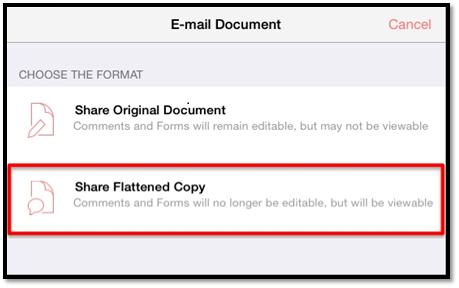 Step 2 The E-mail Document window will come up in the middle of your screen. Select Share Flattened Copy.