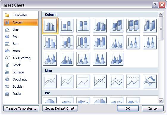 After a chart type is selected, EXCEL 2007 will open with a placeholder for