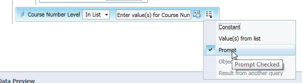 Each time you run a query with a prompt, you will be asked to supply the value(s) to limit the data.