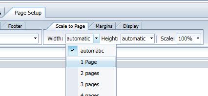 38 Web Intelligence Reporting Basics Note: If margins are showing in Centimeters, you can change to inches.