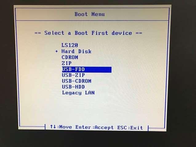 To boot from the USB flash drive, you will have to determine how to get to the Boot Menu on the computer you are going to test or run the Linux operating system.