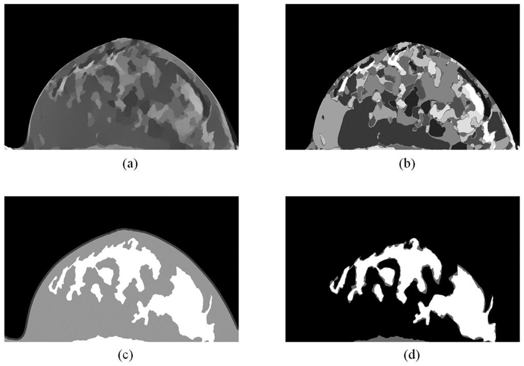 Qin et al. Page 13 Figure 5. Classification results. (a) Smoothed results of Figure 2(d) by the L0 gradient filter. (b) Labeled regions of (a).