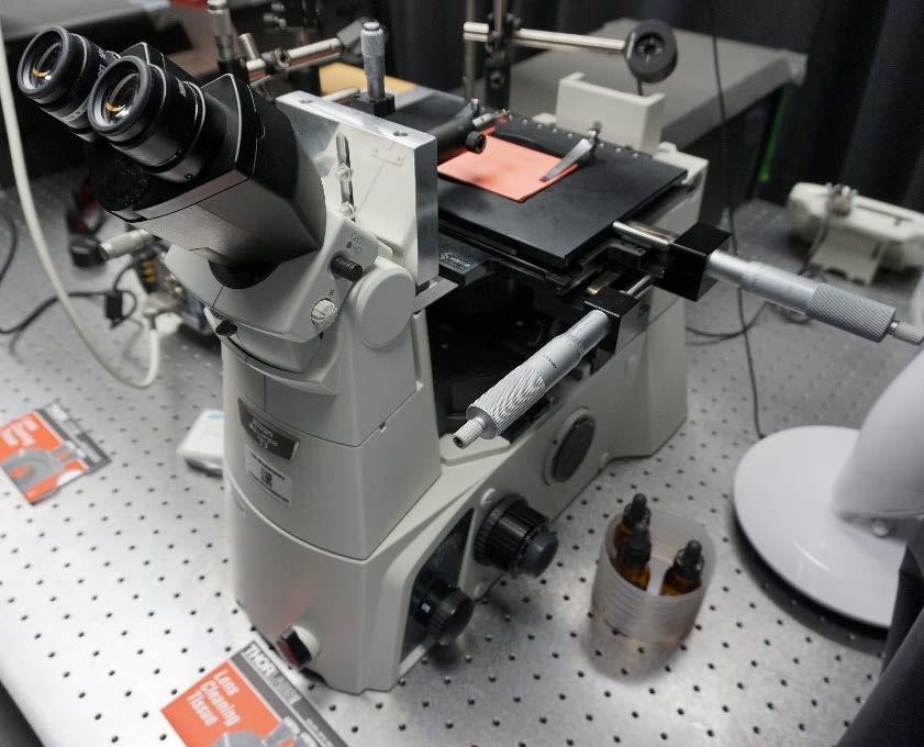 The Prism microscope should be found the same way you should leave it when your experiments are completed (see photos below for assistance): 1.