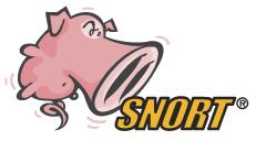 Snort Snort is a lightweight intrusion detection system: Real-time traffic analysis Packet logging (of IP networks) Rules based logging to perform content pattern