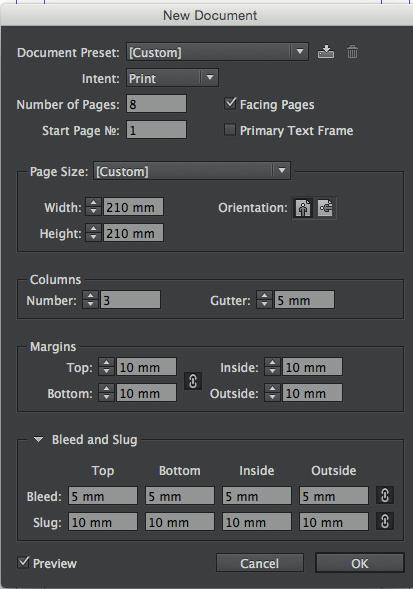 Multi-Page Document One of InDesign s strengths is its ability to make multi-page documents, ranging from a small 2 sided booklet up to a book with hundreds of pages.