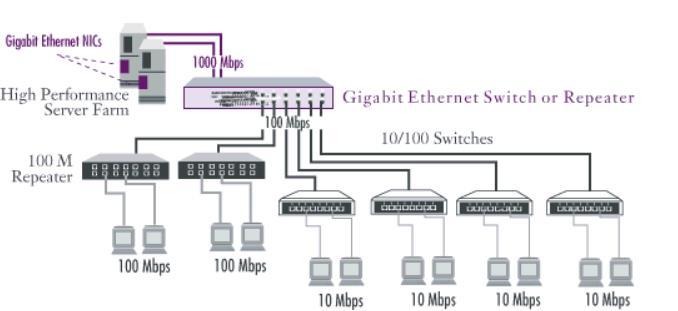 Ethernet Switch Hierarchy: Switch to Server Upgrade The switch to server
