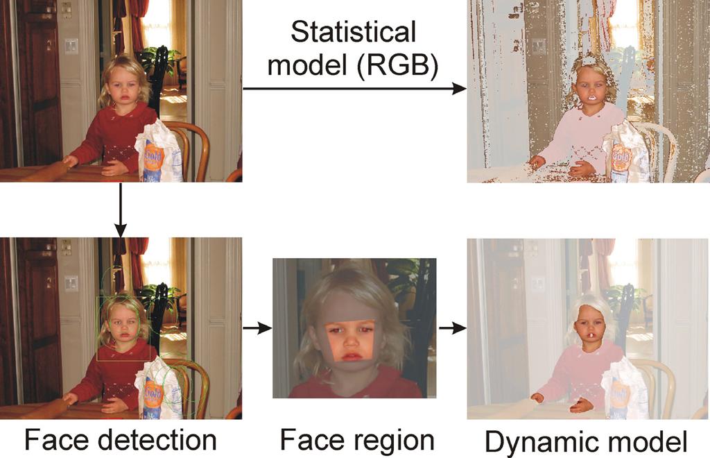 Fig. 3. Skin detection with a statistical model and with a face-based dynamic model. measured, and a training set.