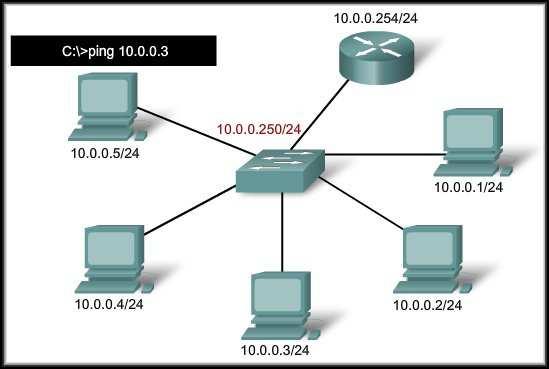 Testing the Switch Interfaces CCNA1-63 Chapter 11 Testing the Local Network Successfully pinging another host on