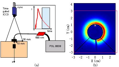 Fig. 4. () Experimentl set-up. Light source: pulsed diode lser, operted t 690 nm with 80 MHz repetition rte. Detection: time-gted intensified CCD cmer, gte width 1 ns, risetime 120 ps.