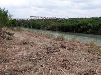 1 mile length of riverbank owned by the City of Laredo Project seeks the most cost effective solution to remove cane using both mechanical and cut stem/herbicide