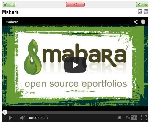 9. Embed your video in your Mahara eportfolio page. You should see the new thumbnail displayed: From the YouTube Help instructions: <https://support.google.com/youtube/answer/72431?hl=en>.