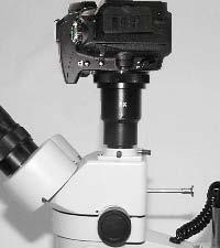 When this rod is pushed completely into the head, the microscope image is directed 100% into both eyepieces of the microscope.