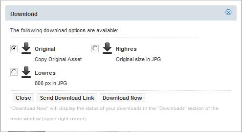 (when logged in), including a link to download the asset (only once) Information displayed during a