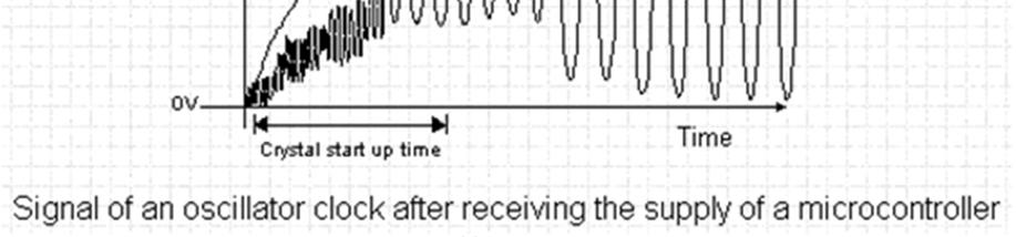 Oscillation at first has an unstable period and amplitude, but after some period of time it becomes stabilized ١٥ To