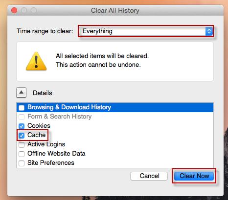 9. Choose Everything from the Time range to clear drop-down list. 10.