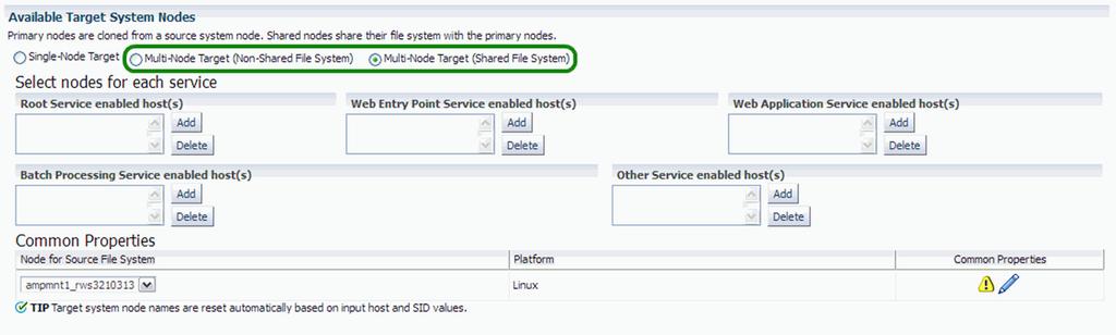 5. Details of the services on the nodes Enter target information on the Source/Target step. Choose the type of target.