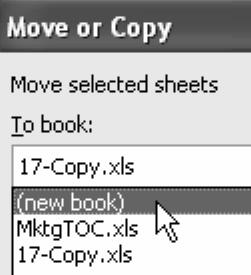 Copying a Worksheet 4. Choose the box for Create a copy to have Excel make an exact copy of the worksheet. 5. Finally, use the dropdown at the top.