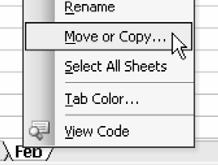 Copying a Worksheet Copying a Worksheet 2. The new worksheet is given a strange name such as Jan(2), Jan(3), etc. Double-click the sheet tab to rename the sheet.