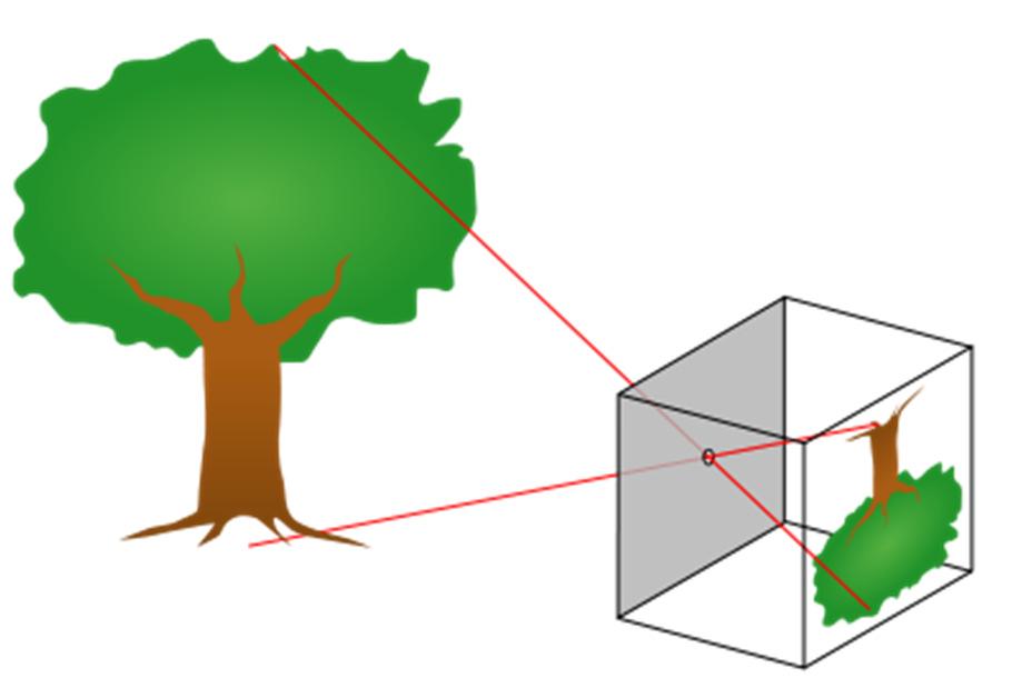 Perspective Projection Most common for computer graphics Simplified model of human eye, or camera lens (pinhole camera)