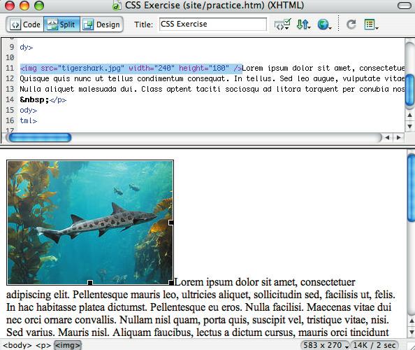 Editing CSS: CLASS Dreamweaver MX 2004 Editing CSS: CLASS pg. 43 Create a CLASS if you want to add style to one or more specified elements in your page. You can add a class attribute to most tags.
