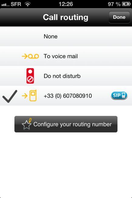 4.2. Call Routing options The call routing panel is available when selecting the User routing options button from the home layout (see section 4.1). It provides the user with call routing options.