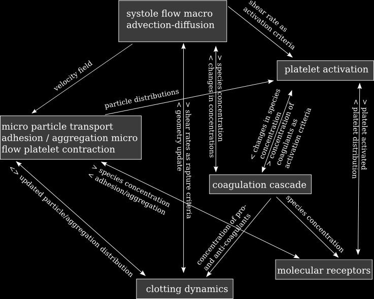 The simplified version presents different components of the coupled simulation as well as their spatial and temporal scales spanning over several orders of magnitude. In Figure 2.