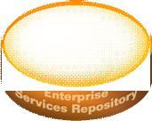 Composition environment Enterprise services