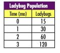 describe how the ladybug population
