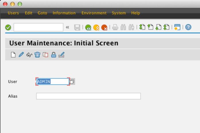 On the User Maintenance: Initial Screen window, select the user you want to allow