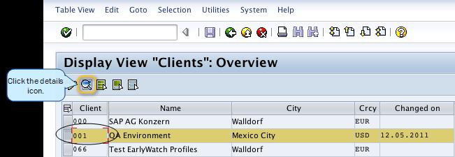 In the Display View Clients Details window, the logical system for the client should already be configured, as