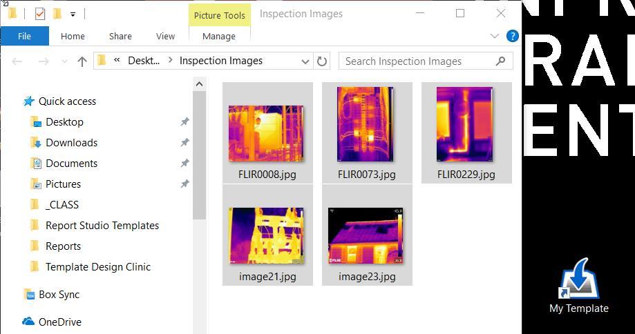 You can also right-click on the template in FLIR Tools to create a Rapid Report