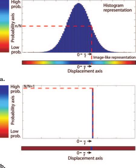 RG f Volume 26 Special Issue Hagmann et al S207 Figure 2. (a) Histogram shows a typical displacement distribution due to diffusion in a one-dimensional model.