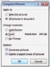 In newer versions of Word, you can pull down the File menu, then select Reduce File Size... A dialog box will open.