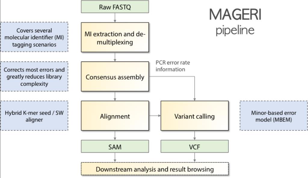 MAGERI is an all-in-one software for analysis of targeted genome re-sequencing data for libraries prepared with novel unique molecular identifier tagging technology.