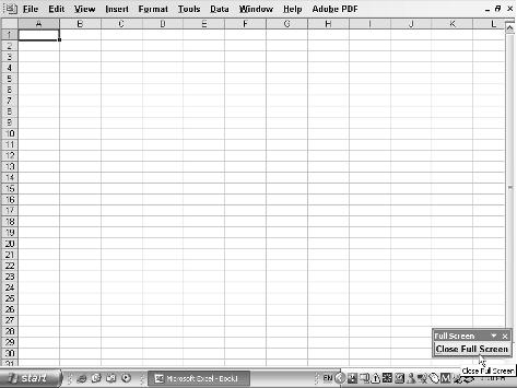 8 Technique 1: Customizing the Excel Screen Display Here you find out how to max out the worksheet display so that you access as many cells and as much of your spreadsheet data as possible, thus