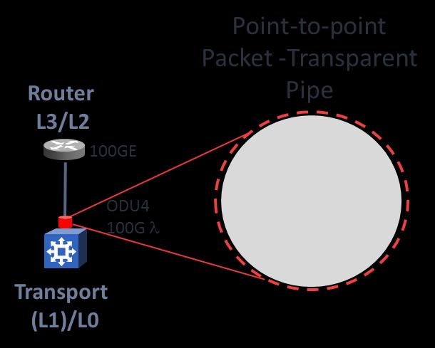 Fig 1 Traditional approaches leverage optical transport layer for L0/L1 functions only, with all packet traffic processing performed solely by routers. The transport layer is oblivious to packets.