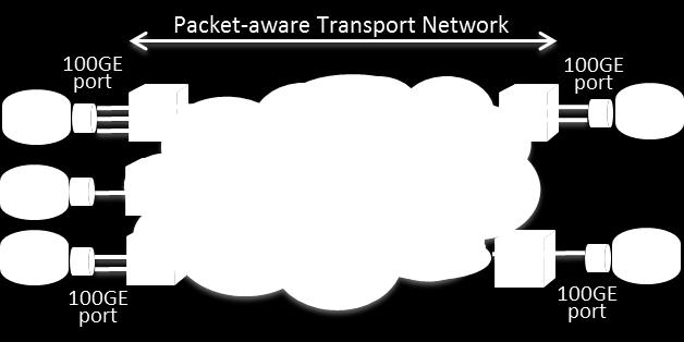 Fig 6 - Integration of L2 packet processing functions along with L1 OTN switching/grooming and L0 WDM ROADM switching creates a highly flexible packet-transport and service delivery platform.