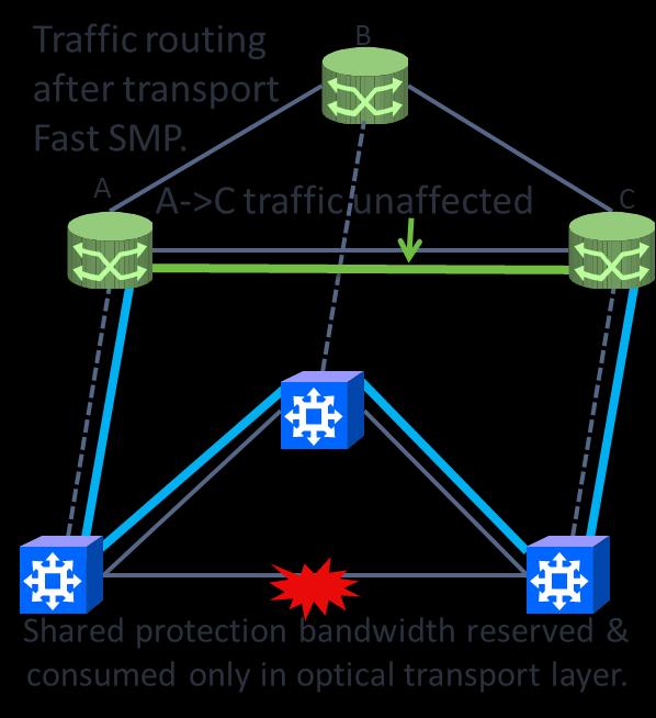 SLA-enforceable packet transport services.