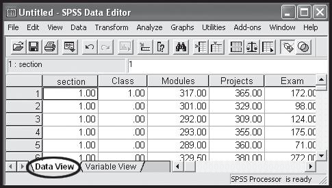 Data View and Variable View User Services Your variables appear in Data View. 213 cases were imported.