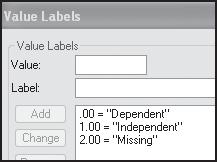 Return to Variable View of the Editor and enter Value Labels for your new variable style.