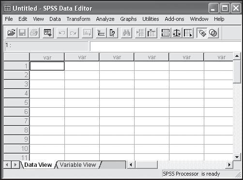 User Services SPSS Interface SPSS Data View Data View in SPSS provides a convenient spreadsheet-like method for entering