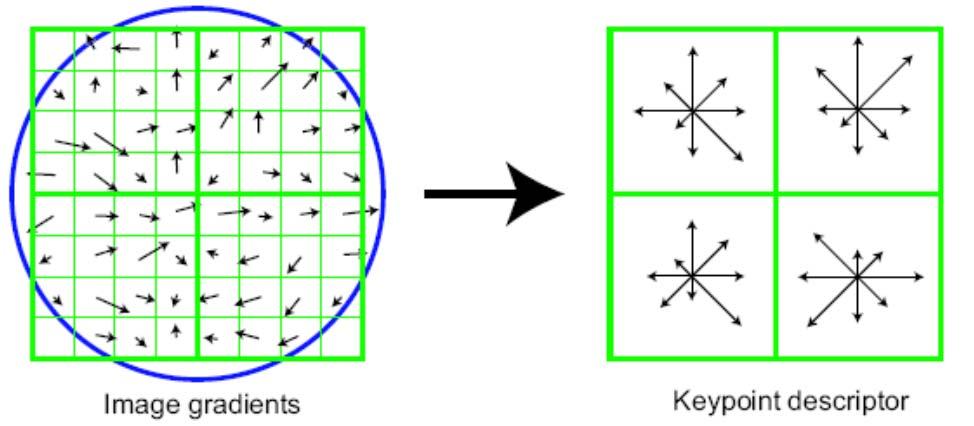 Example: SIFT descriptor (recall) The most popular gradient-based descriptor Typically used in combination with an interest point detector Region rescaled to a grid of 16x16 pixels 4x4 regions = 16