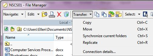 Click once on the File Manager icon and a new window will open. 10.